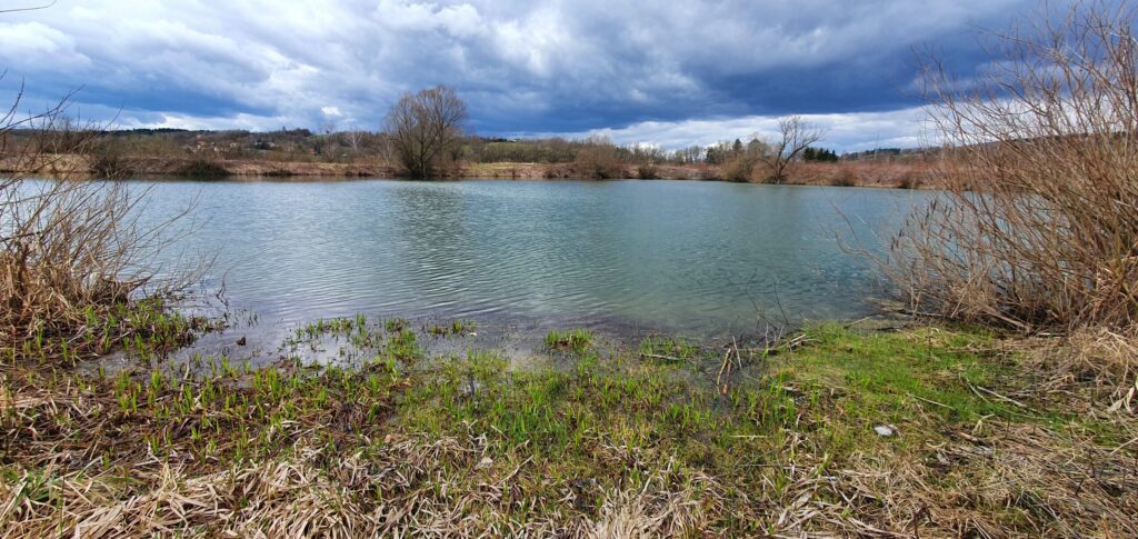 20230326 123408 20230326 123408